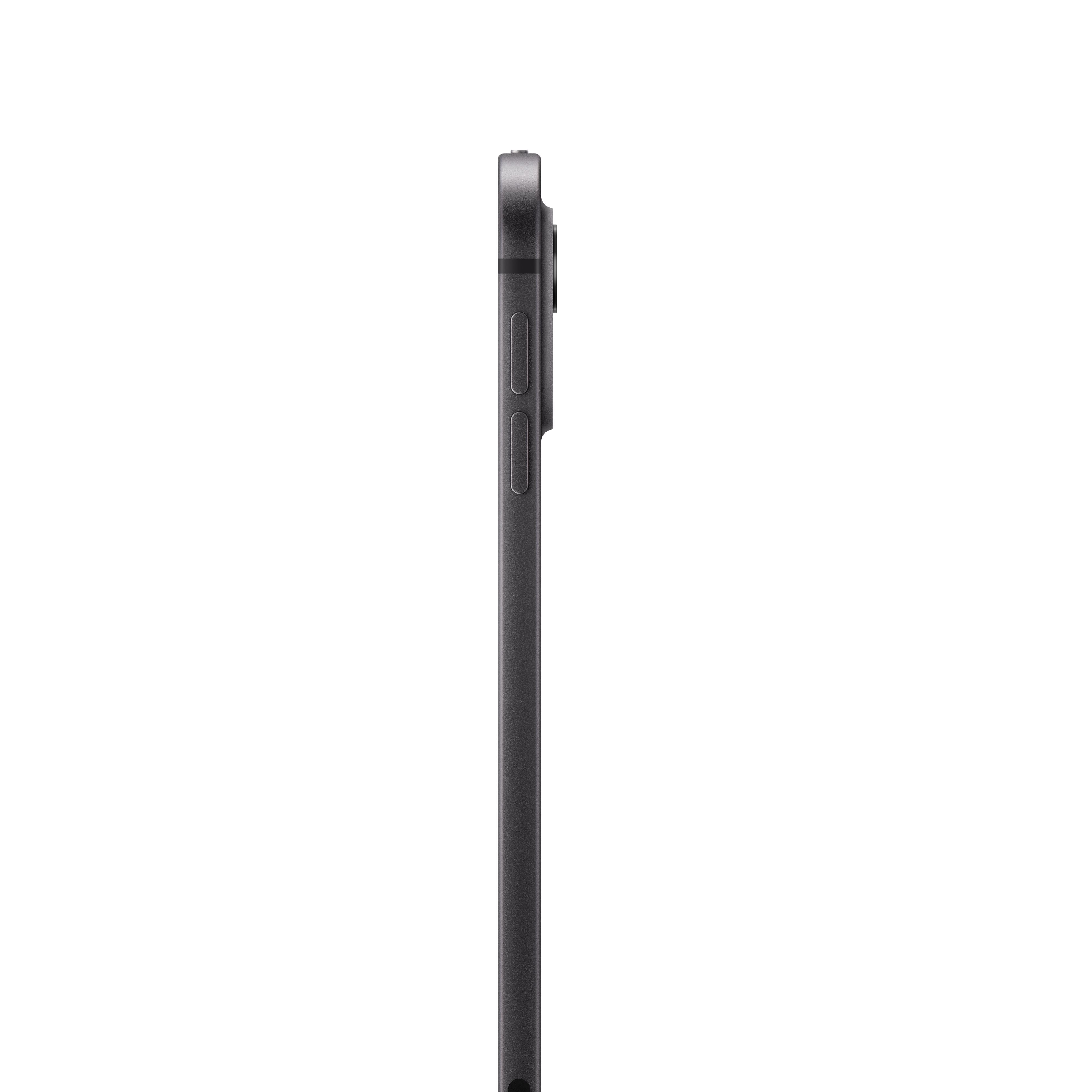 Buy 11-inch iPad Pro Wi-Fi 256GB Standard Glass - Space Black (M4