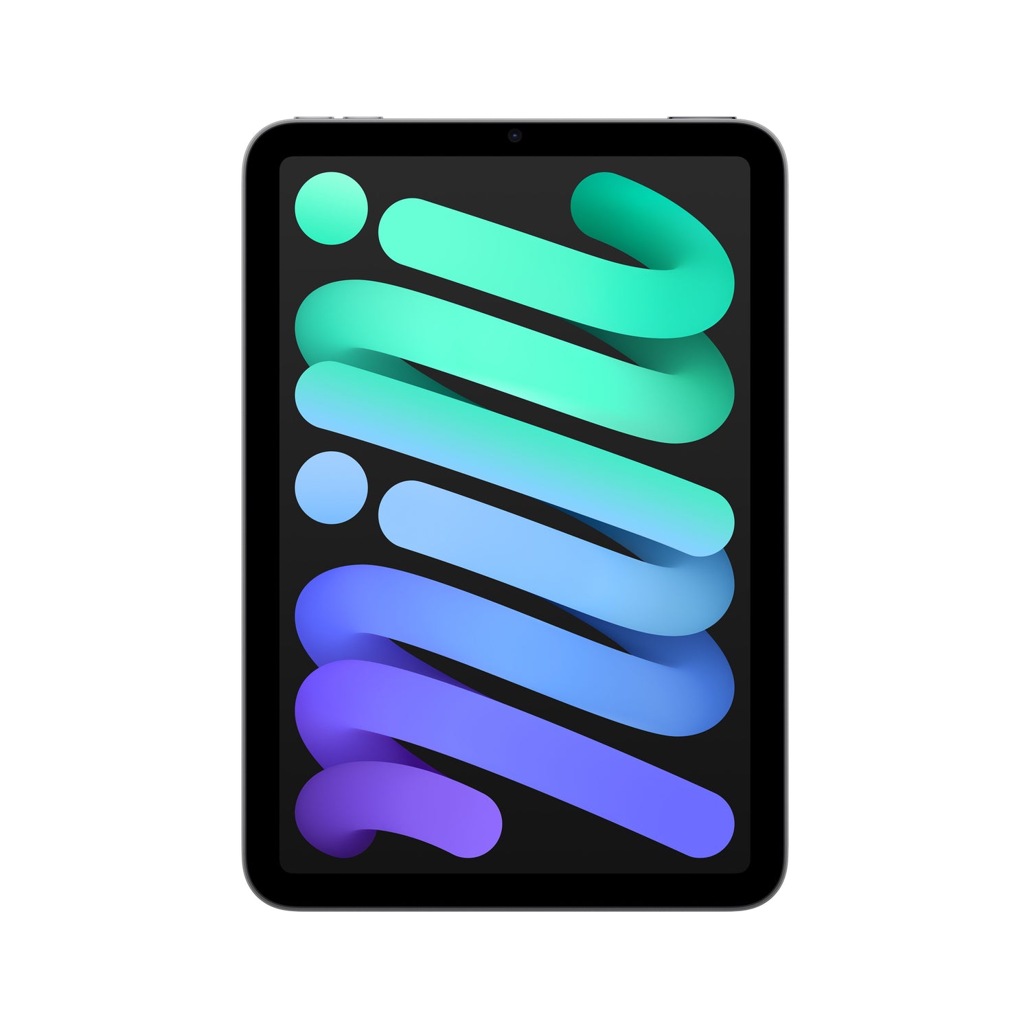 iPad_mini_Space_Gray_PDP_Image_Position_1_WiFi__en-ME