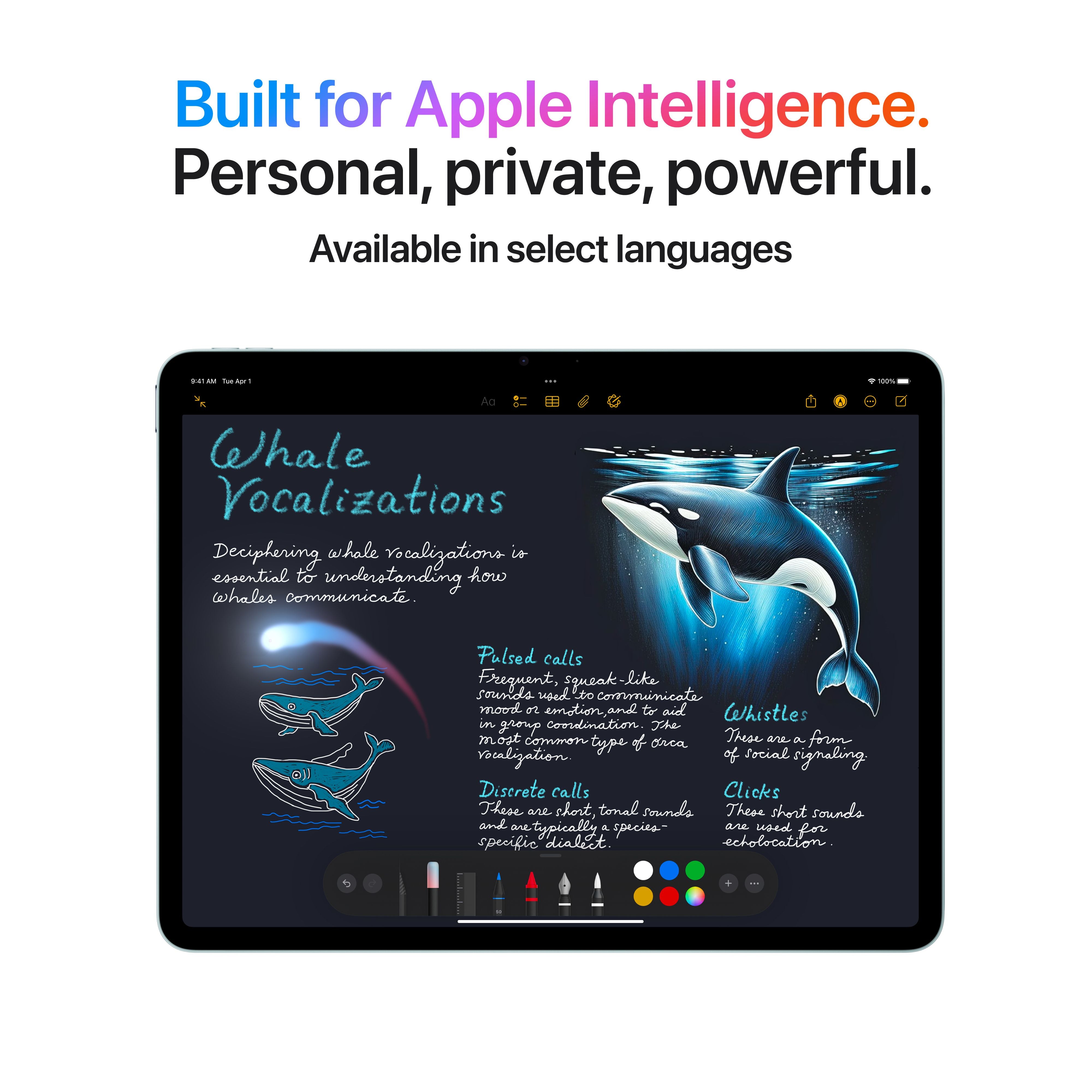 Buy 13-inch iPad Air Wi-Fi 256GB - Purple (M3) | iStyle Oman