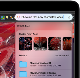 كتابة طلب إلى Siri للعثور على الملفات أثناء العمل في تطبيق Houdini