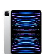 آيباد برو 11 بوصة (الجيل الرابع)